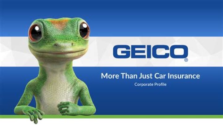Geico animal - How To Discuss