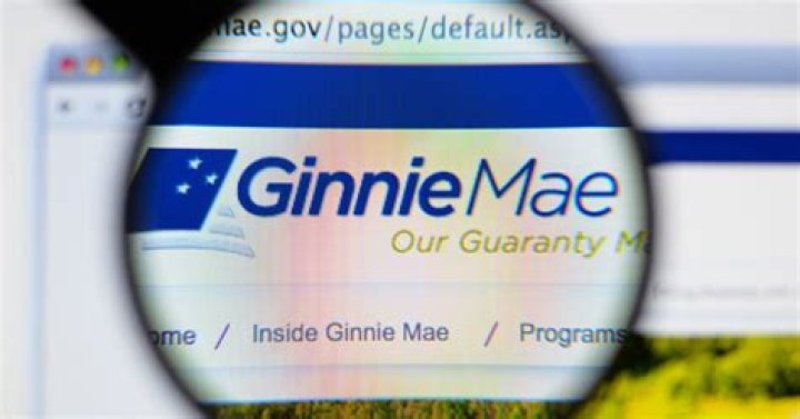 Ginnie Mae II - How To Discuss