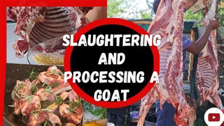 Goat Meat Cardiff - How To Discuss