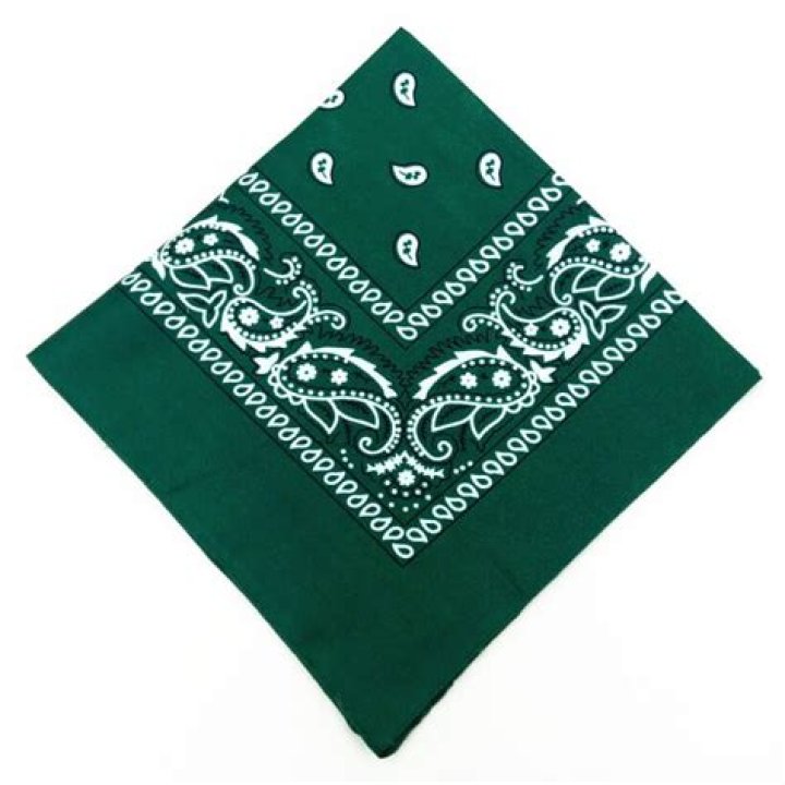 Green Bandana Gang - How To Discuss