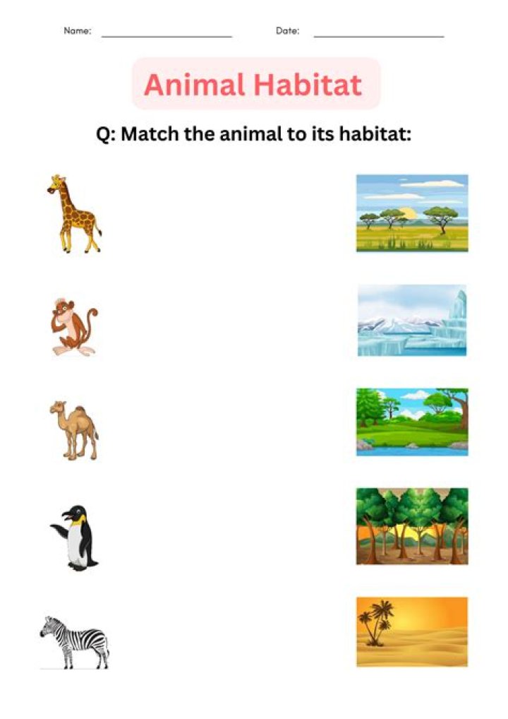 Habitat - How To Discuss
