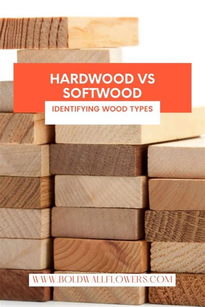 Hardwood vs softwood - How To Discuss