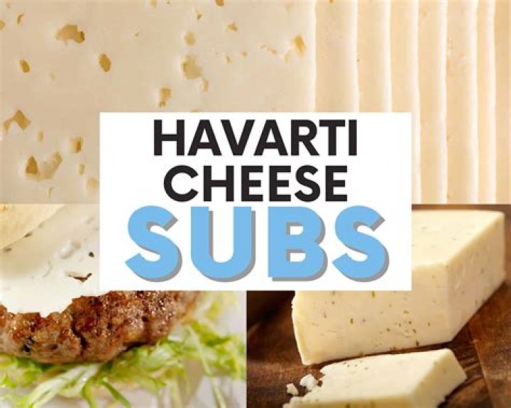 Havarti Cheese Substitute - How To Discuss