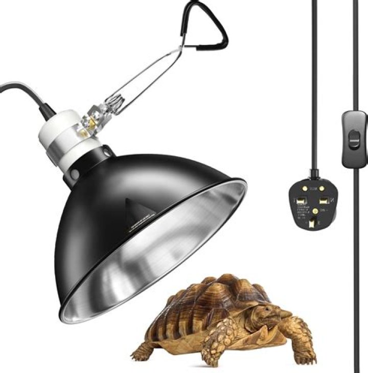 Heat Lamp For Betta Fish