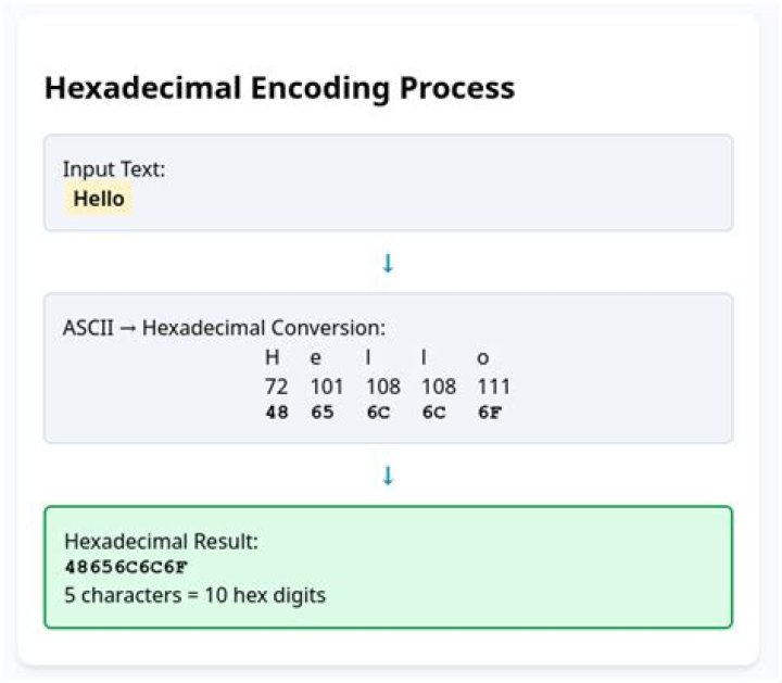 Hex Decoder - How To Discuss