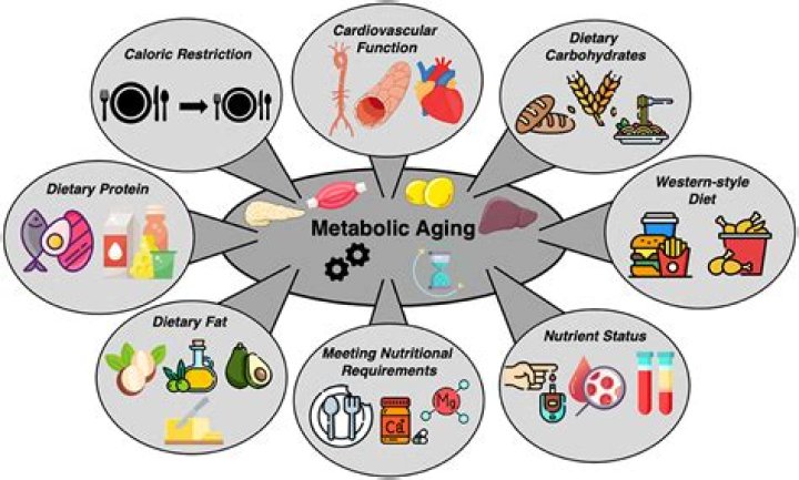 High metabolism - How To Discuss