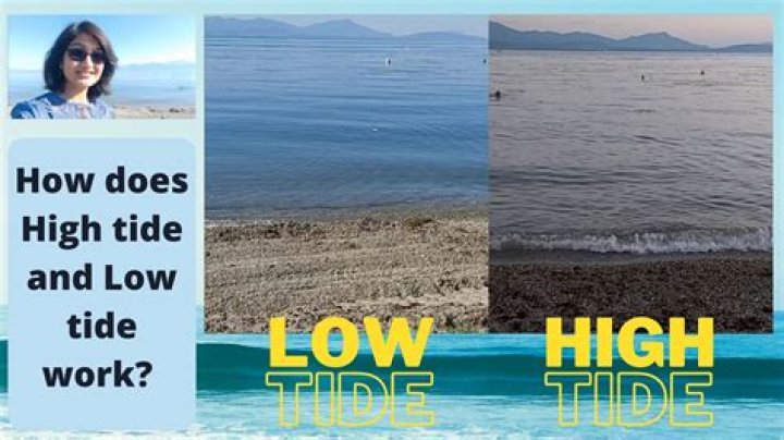 High tide today - How To Discuss
