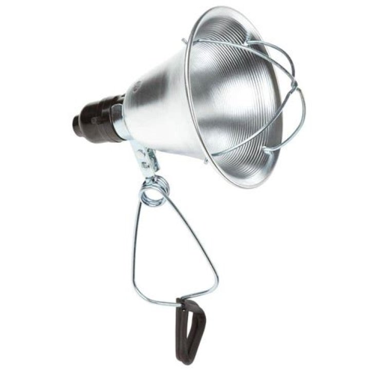 Home Depot Heat Lamp - How To Discuss