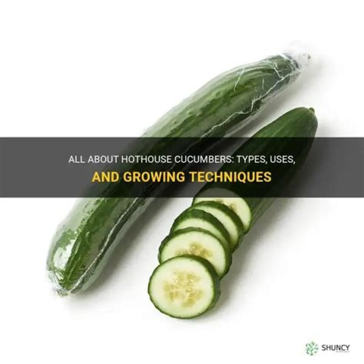 Hothouse Cucumber - How To Discuss