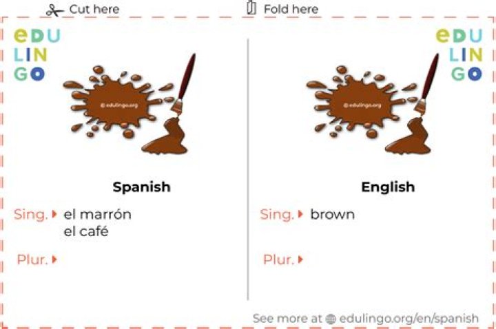 How Do You Say Brown In Spanish