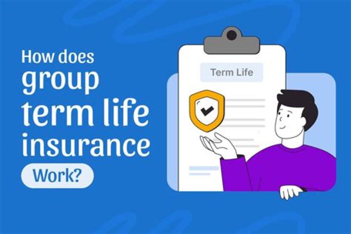 How does group term life insurance work?