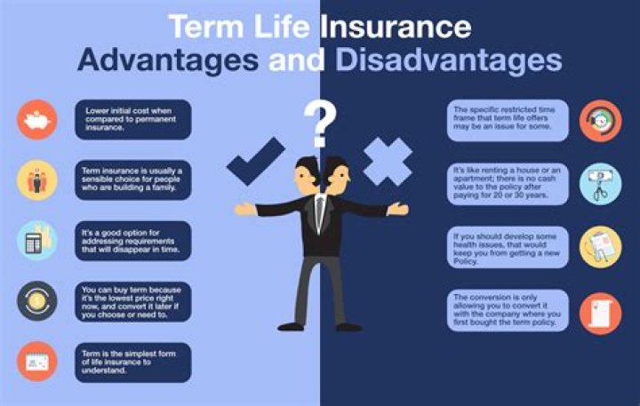 How does term life insurance work?