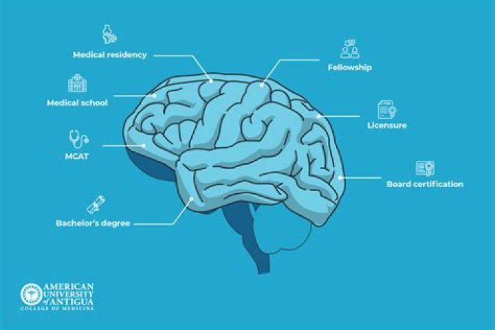 How long does it take to become a neurosurgeon