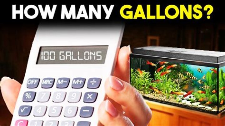 How Many Gallons Is My Fish Tank