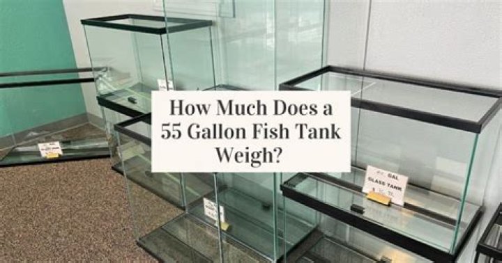 How Much Does A 55 Gallon Fish Tank Weigh