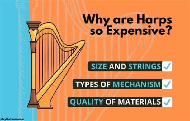 How Much Does A Harp Cost