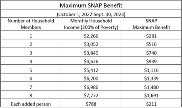 How much food stamps will i get