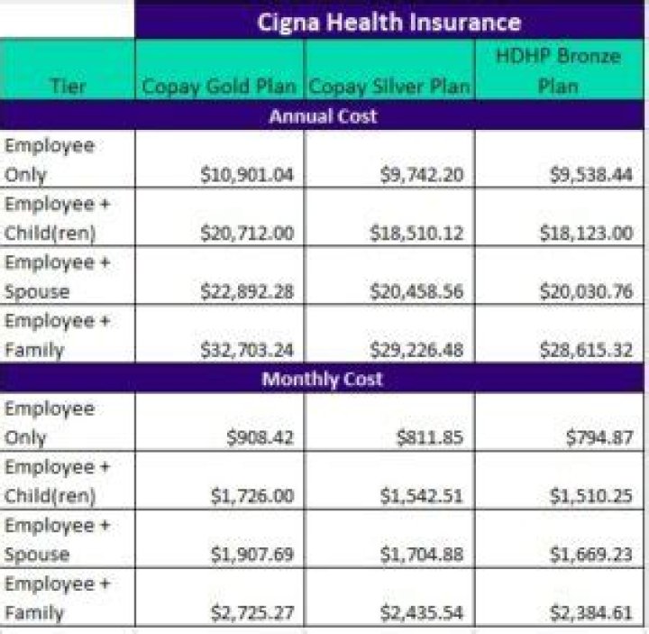 How Much Is Cobra Insurance