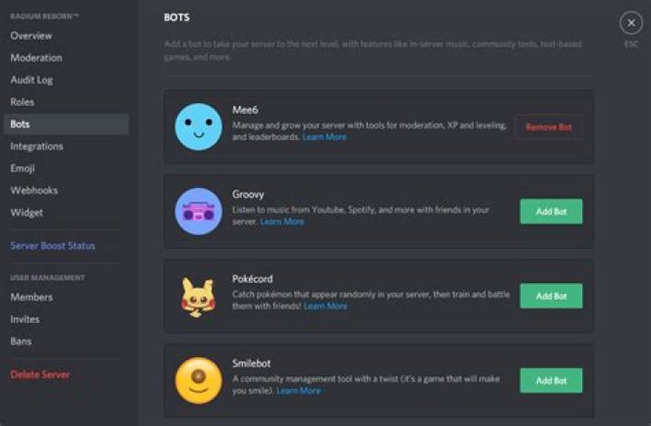 How to add discord bots