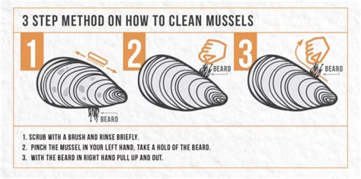 How to clean mussels - How To Discuss