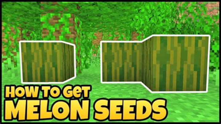 How To Get Melon Seeds In Minecraft