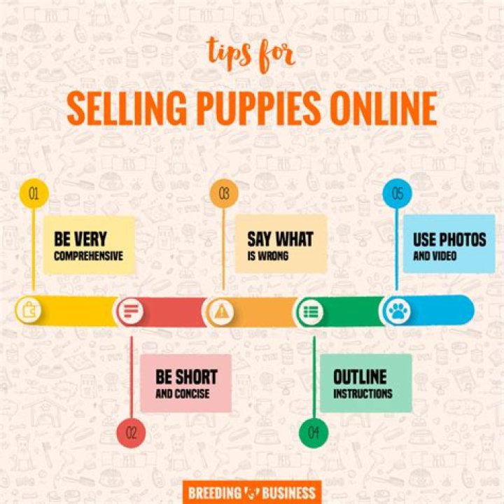 How To Sell Puppies Online