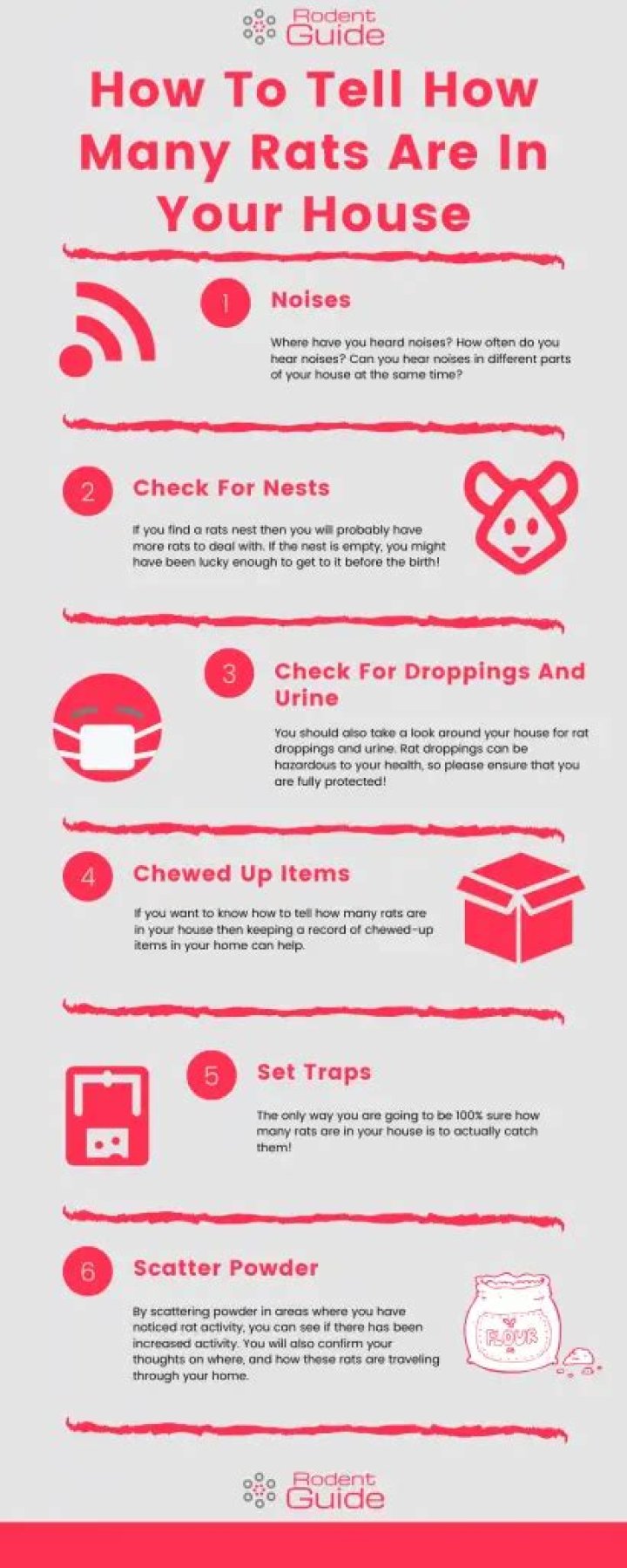 How to tell how many rats are in your house