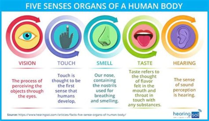 Human senses - How To Discuss