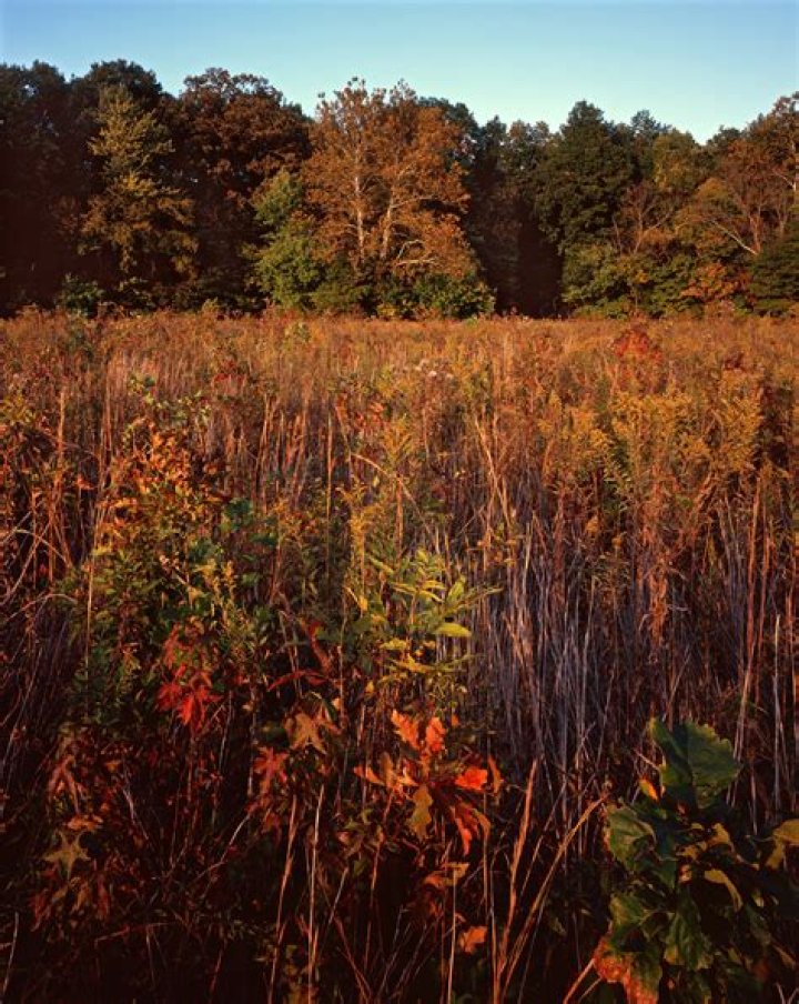 Hunting On Nature Conservancy Land