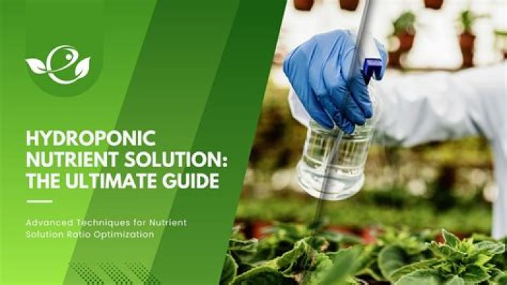 Hydroponic nutrient solution - How To Discuss