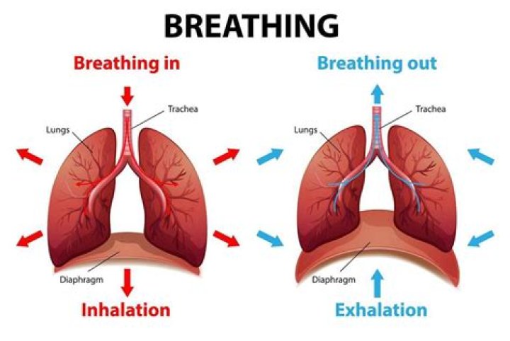 Inspiration breathing - How To Discuss