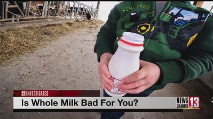 Is whole milk bad for you