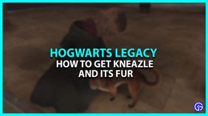 Kneazle - How To Discuss