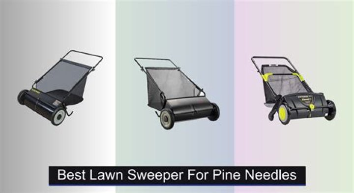 Lawn Sweeper For Pine Needles