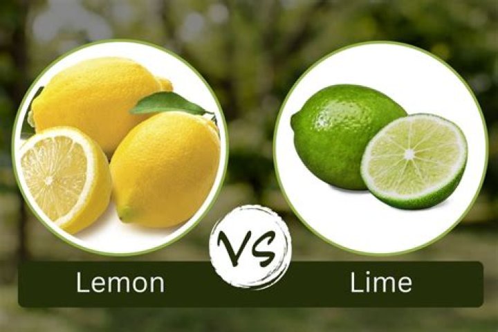 Lemon - How To Discuss