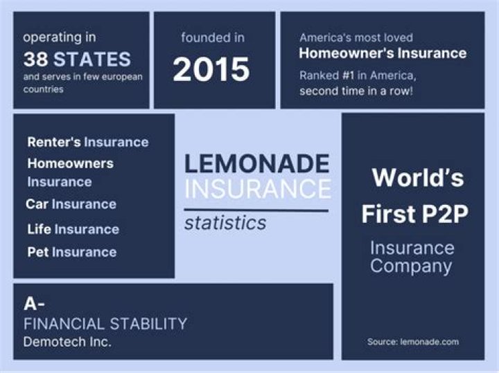 Lemonade insurance reviews - How To Discuss