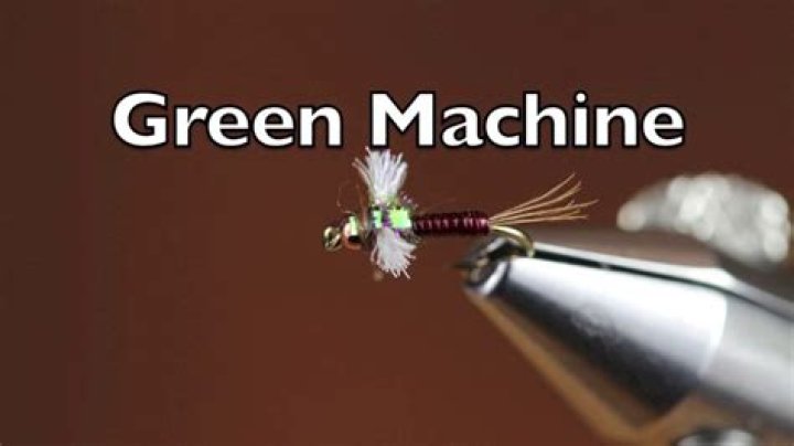 Little Green Machine Fly - How To Discuss