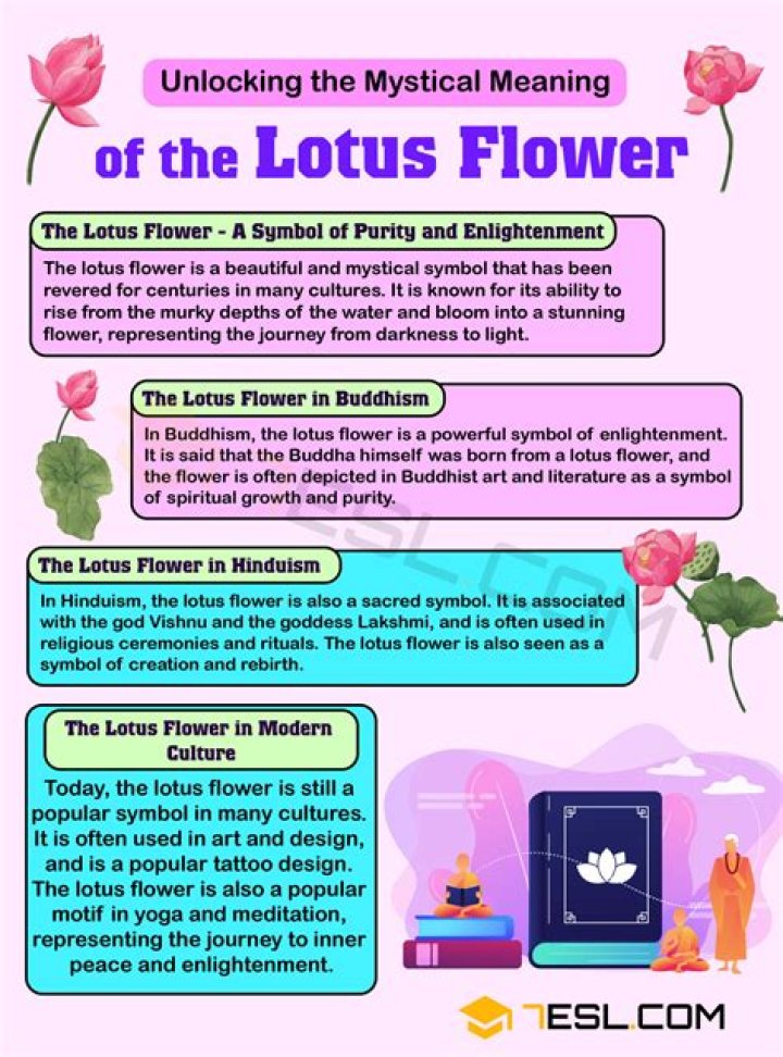 Lotus Flower Meaning - How To Discuss