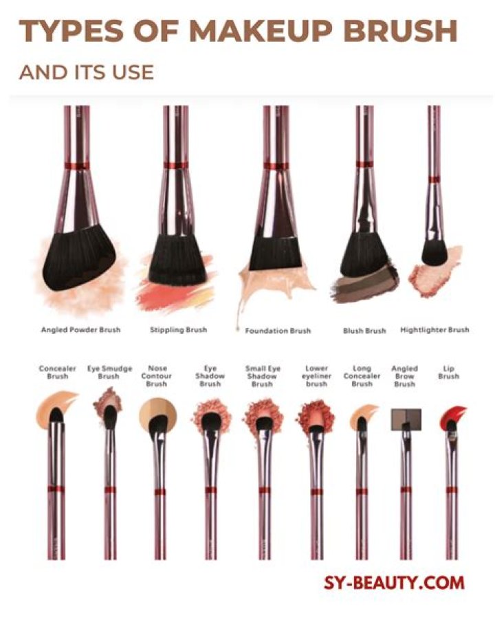 Makeup brushes guide - How To Discuss