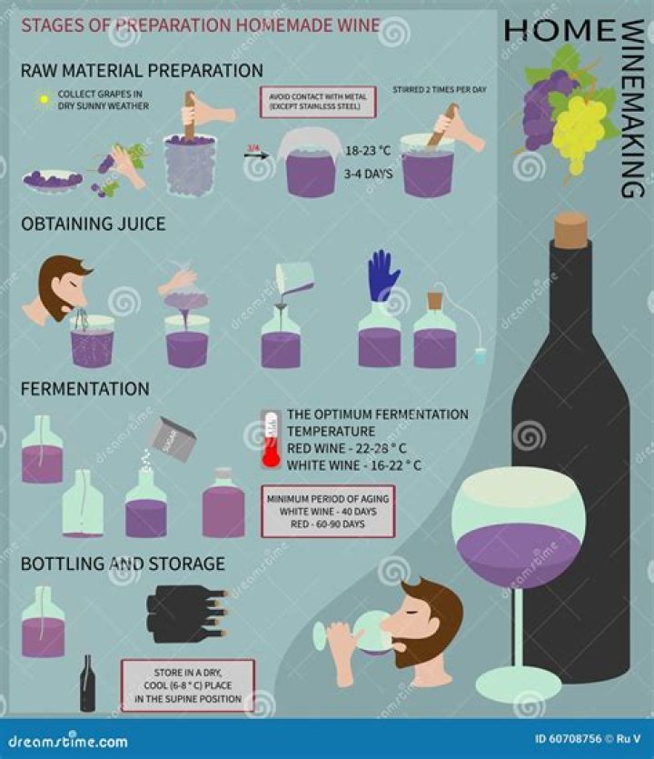 Making wine at home - How To Discuss
