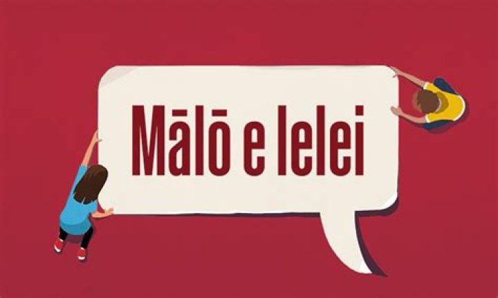 Malo Meaning Tongan - How To Discuss