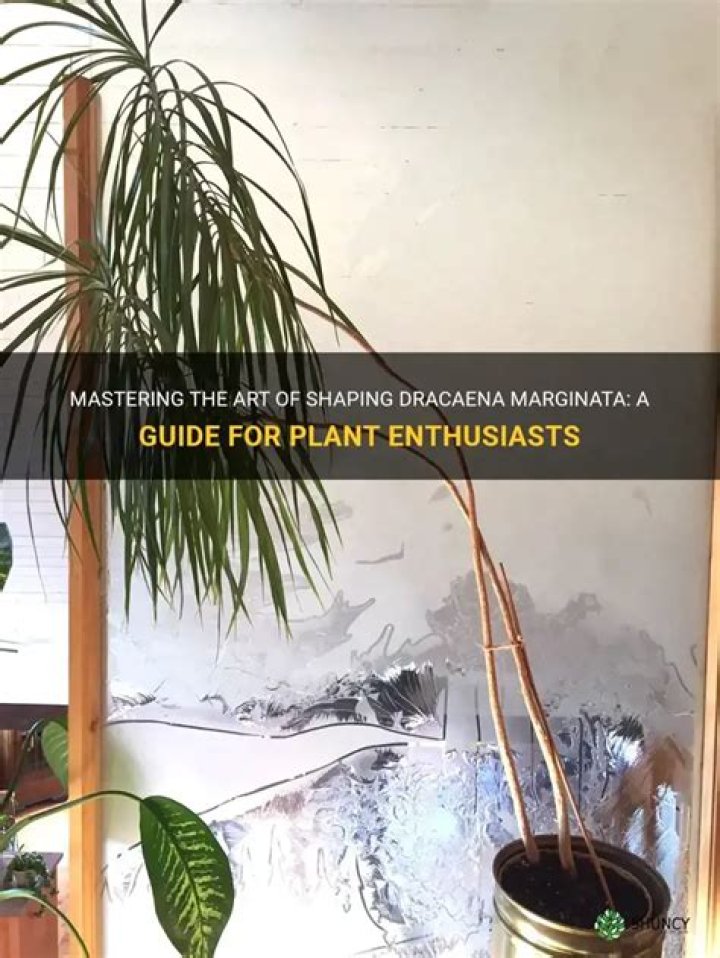 Marginata - How To Discuss