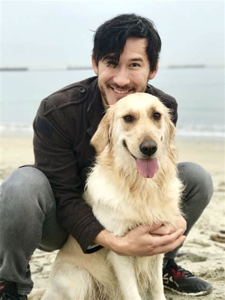 Markiplier Dog - How To Discuss