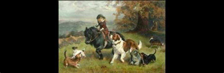 Medicine Creek Kennels - How To Discuss