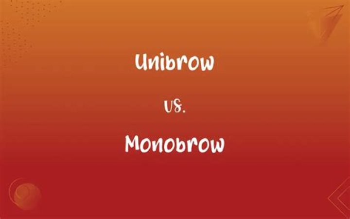 Monobrow Vs Unibrow - How To Discuss