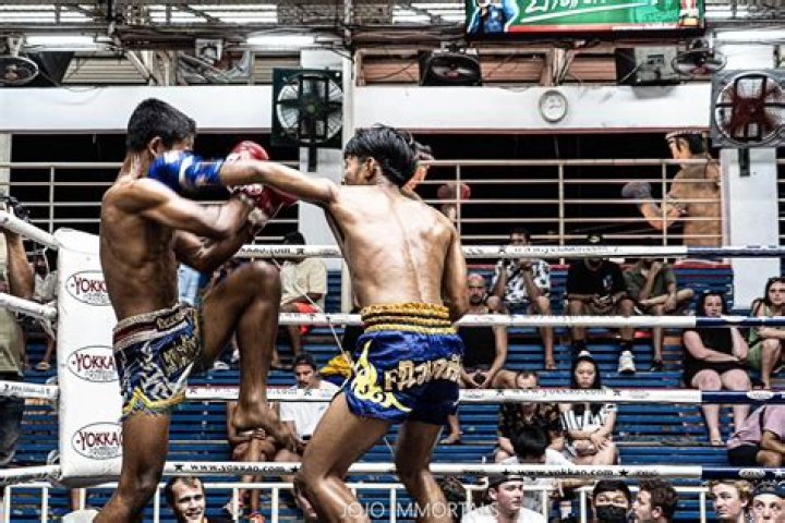 Muay thai vs kickboxing - How To Discuss