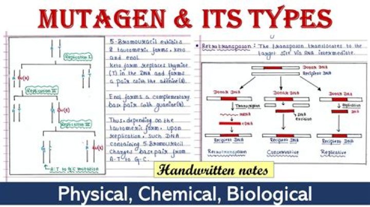 Mutagen - How To Discuss
