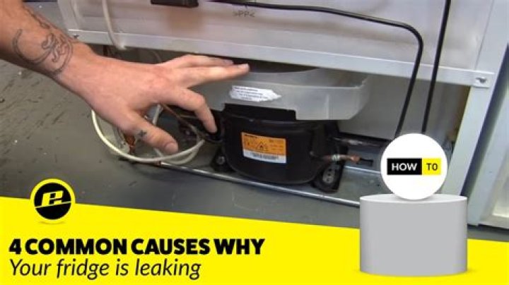 My Refrigerator Is Leaking - How To Discuss