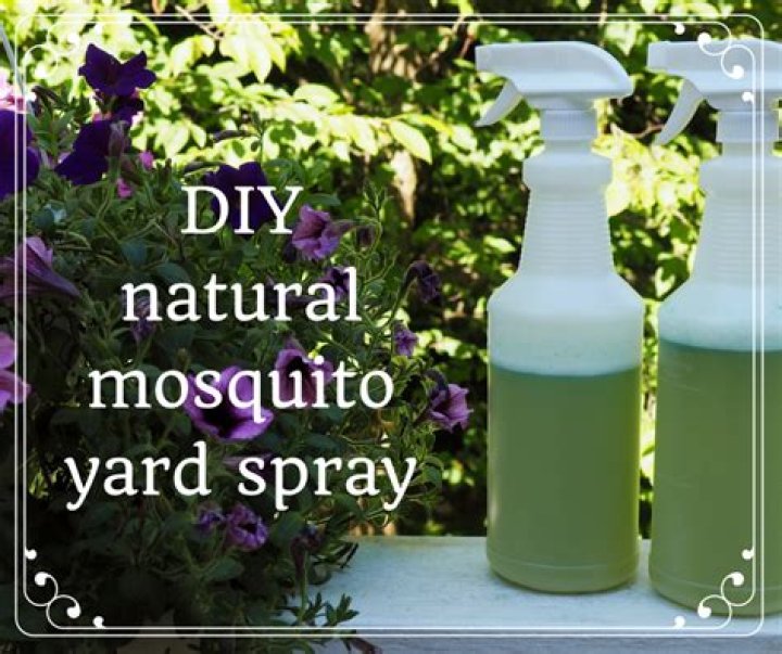Natural mosquito repellent for yard