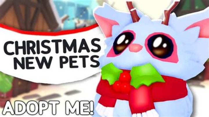 Next Day Pets Reviews - How To Discuss